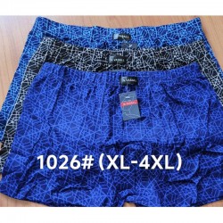 Труси чоловічі 12 шт (1-4XL) коттон RZ6000_1026