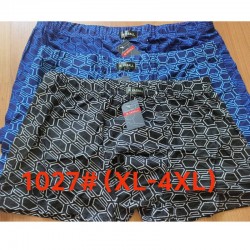 Труси чоловічі 12 шт (1-4XL) коттон RZ6000_1027