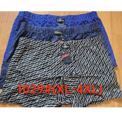 Труси чоловічі 12 шт (1-4XL) коттон RZ6000_1029