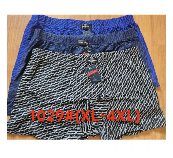 Труси чоловічі 12 шт (1-4XL) масло RZ6000_1029