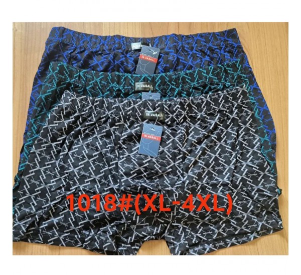 Труси чоловічі 12 шт (1-4XL) масло RZ6000_1018
