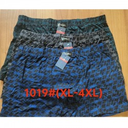 Труси чоловічі 12 шт (1-4XL) коттон RZ6000_1019