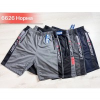 Шорты мужские, двунитка 6 шт (46-56 р) SeR2152_6626