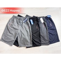 Шорты мужские, двунитка 6 шт (46-56 р) SeR2152_6622