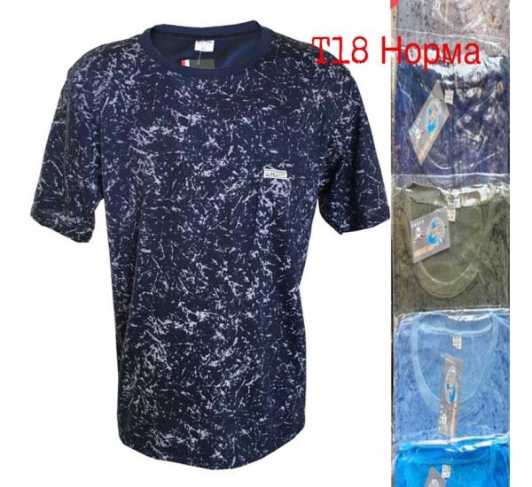 Футболка чоловіча трикотаж 6 шт (1-4XL) SeR2152_T18