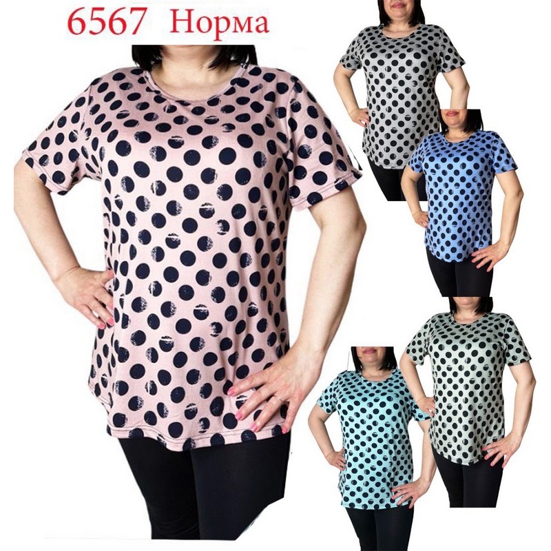 Футболка жіноча трикотаж 6 шт (L-4XL) SeR2152_6567