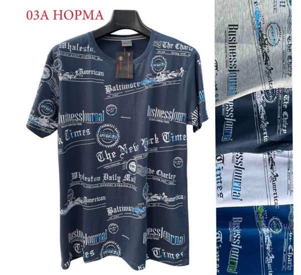 Футболка чоловіча трикотаж 5 шт (1-3XL) SeR2152_03A