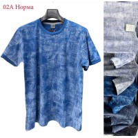 Футболка чоловіча трикотаж 5 шт (1-3XL) SeR2152_02A