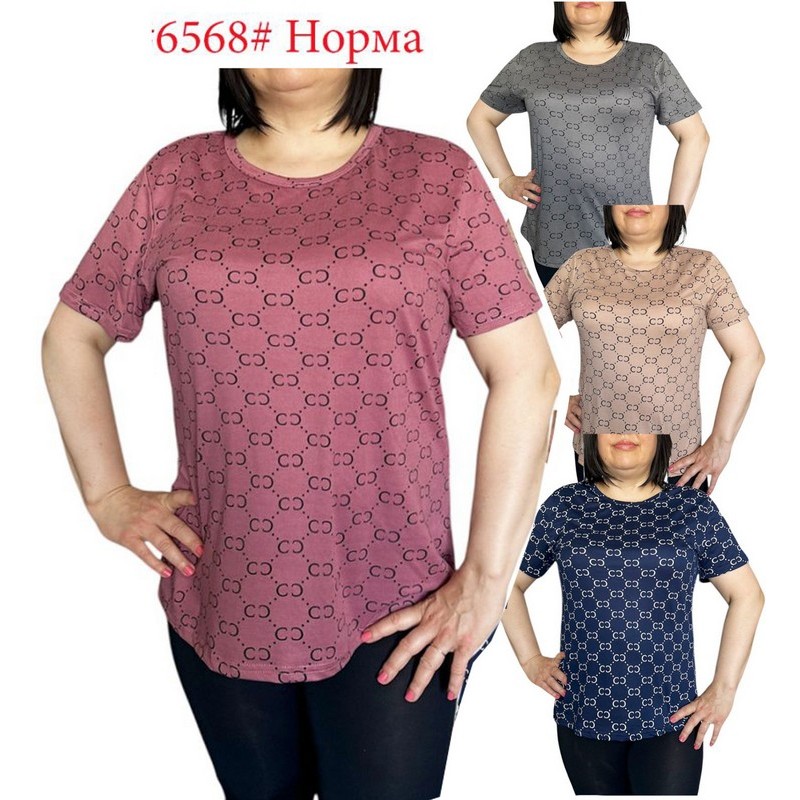 Футболка жіноча трикотаж 6 шт (L-4XL) SeR2152_6568