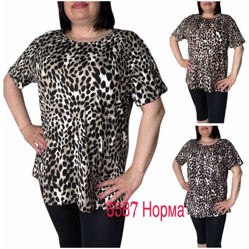 Футболка жіноча трикотаж 6 шт (L-4XL) SeR2152_6587