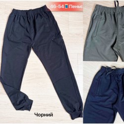 Спорт штаны мужские, пенье 5 шт (46-54 р) SeR2152_100810
