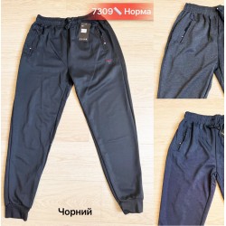 Спорт штаны мужские, двунить 5 шт (46-54 р) SeR2152_7309