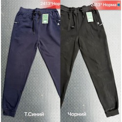 Спорт штани чоловічі, фліс 5 шт (48-56 р) SeR2152_2413
