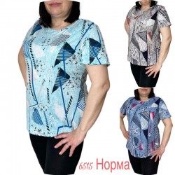 Футболка жіноча трикотаж 6 шт (L-4XL) SeR2152_6515