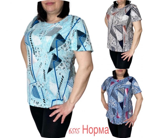 Футболка жіноча трикотаж 6 шт (L-4XL) SeR2152_6515