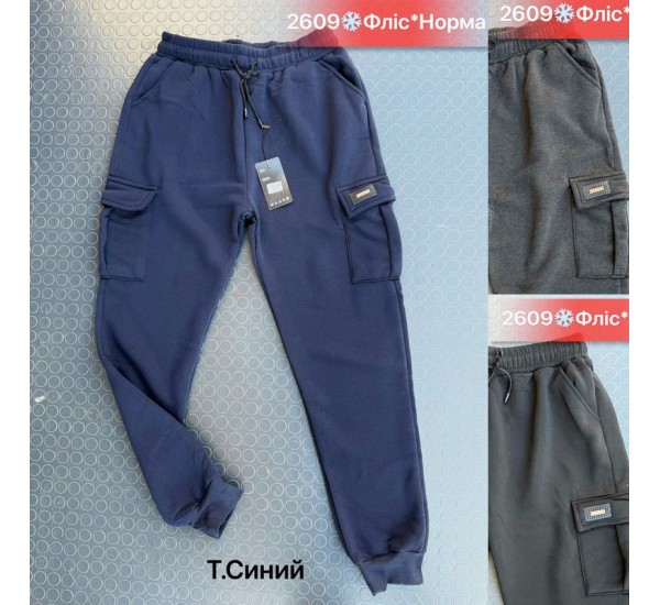 Спорт штани чоловічі, фліс 5 шт (46-54 р) SeR2152_2609