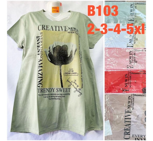 Футболка жіноча, бавовна 5 шт (2-5XL) TaN_B103
