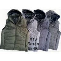 Безрукавка чоловіча, синтепон, 5 шт (58-66 р) BL3060_130226