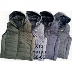Безрукавка чоловіча, синтепон, 5 шт (58-66 р) BL3060_130226