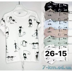 Футболка жіноча, стрейч/коттон 6 шт (5/6XL) BL3149_2615b