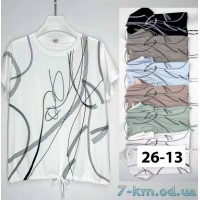 Футболка жіноча, стрейч/коттон 6 шт (5/6XL) BL3149_2613b