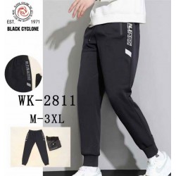 Спорт брюки мужские 5 шт (M-3XL) трикотаж DLD_2811
