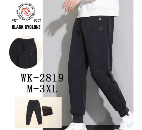 Спорт брюки мужские 5 шт (M-3XL) трикотаж DLD_2819