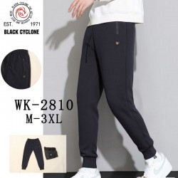 Спорт брюки мужские 5 шт (M-3XL) трикотаж DLD_2810