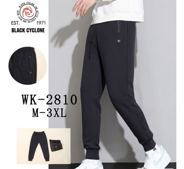 Спорт брюки мужские 5 шт (M-3XL) трикотаж DLD_2810