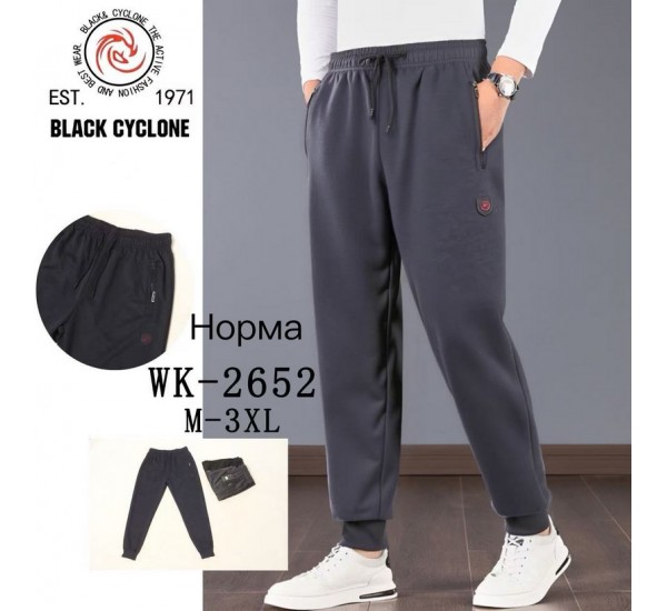 Спорт брюки мужские 5 шт (M-3XL) трикотаж DLD_2652