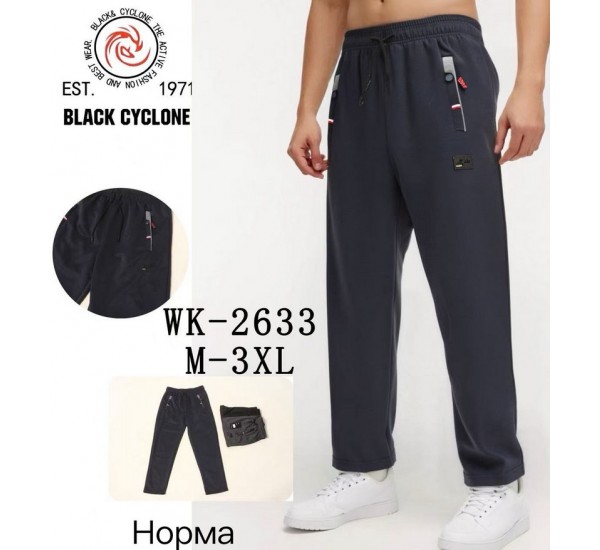 Спорт брюки мужские 5 шт (M-3XL) трикотаж DLD_2633