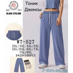 Брюки женские, джинс 5 шт (2-8XL) DLD_WT-527