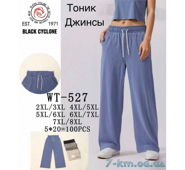 Брюки женские, джинс 5 шт (2-8XL) DLD_WT-527