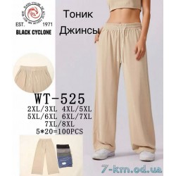 Брюки женские, джинс 5 шт (2-8XL) DLD_WT-525