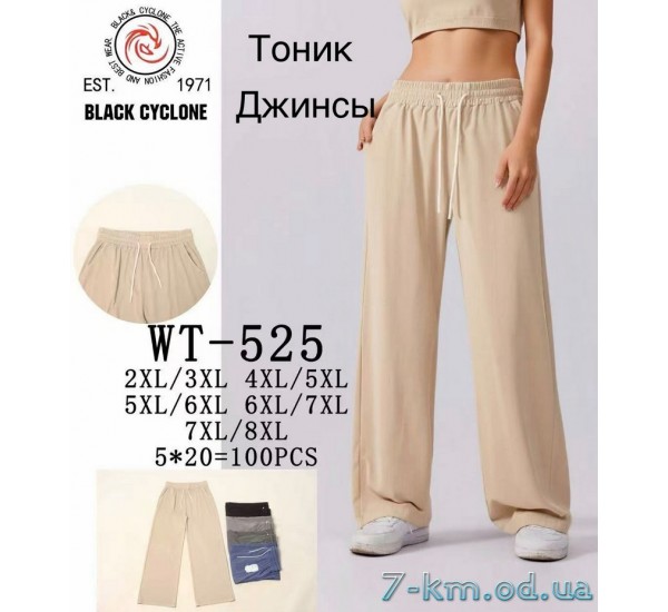 Брюки женские, джинс 5 шт (2-8XL) DLD_WT-525
