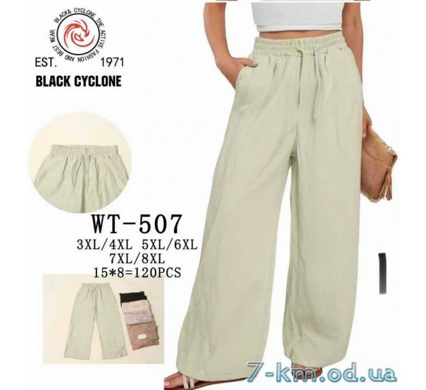 Брюки женские, лён 6 шт (3-8XL) DLD_WT-507
