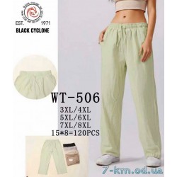 Брюки женские, лён 6 шт (3-8XL) DLD_WT-506