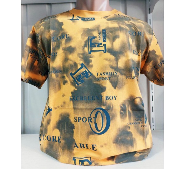 Футболка чоловіча (S-2XL) трикотаж 5 шт HR1890_060510
