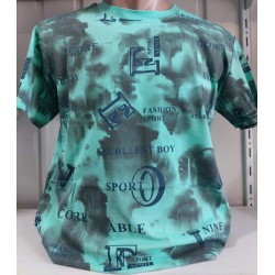 Футболка чоловіча (S-2XL) трикотаж 5 шт HR1890_060514