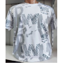 Футболка чоловіча (S-2XL) трикотаж 5 шт HR1890_060515