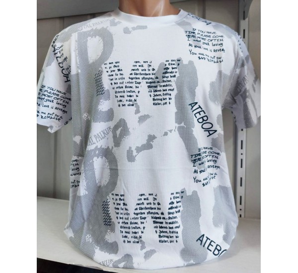 Футболка чоловіча (S-2XL) трикотаж 5 шт HR1890_060515