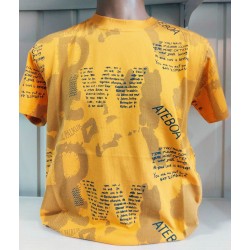 Футболка чоловіча (S-2XL) трикотаж 5 шт HR1890_060517
