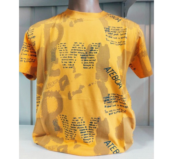 Футболка чоловіча (S-2XL) трикотаж 5 шт HR1890_060517