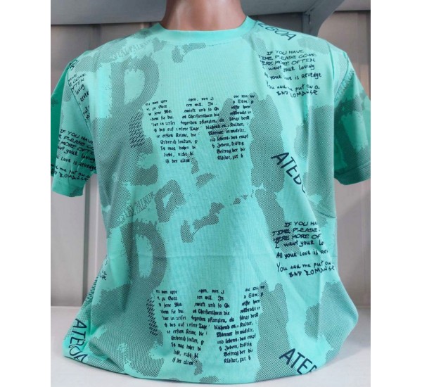 Футболка чоловіча (S-2XL) трикотаж 5 шт HR1890_060518