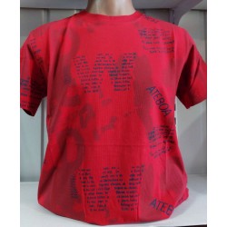 Футболка чоловіча (S-2XL) трикотаж 5 шт HR1890_060519