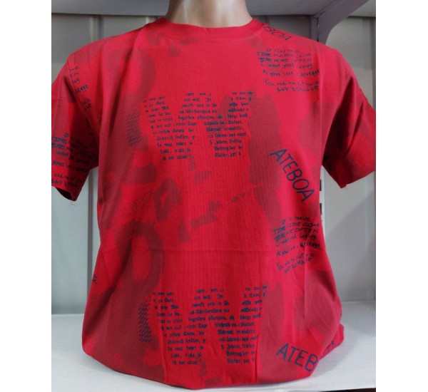 Футболка чоловіча (S-2XL) трикотаж 5 шт HR1890_060519