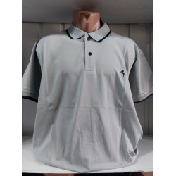 Футболка мужская (4-8XL) трикотаж 5 шт HR1890_260312