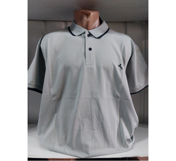 Футболка мужская (4-8XL) трикотаж 5 шт HR1890_260312