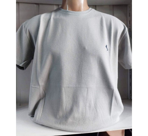Футболка чоловіча (4-8XL) вафельний трикотаж 5 шт HR1890_260344
