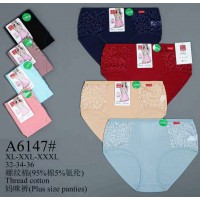 Труси жіночі батал 12 шт (1-3XL) коттон KiE_A6147